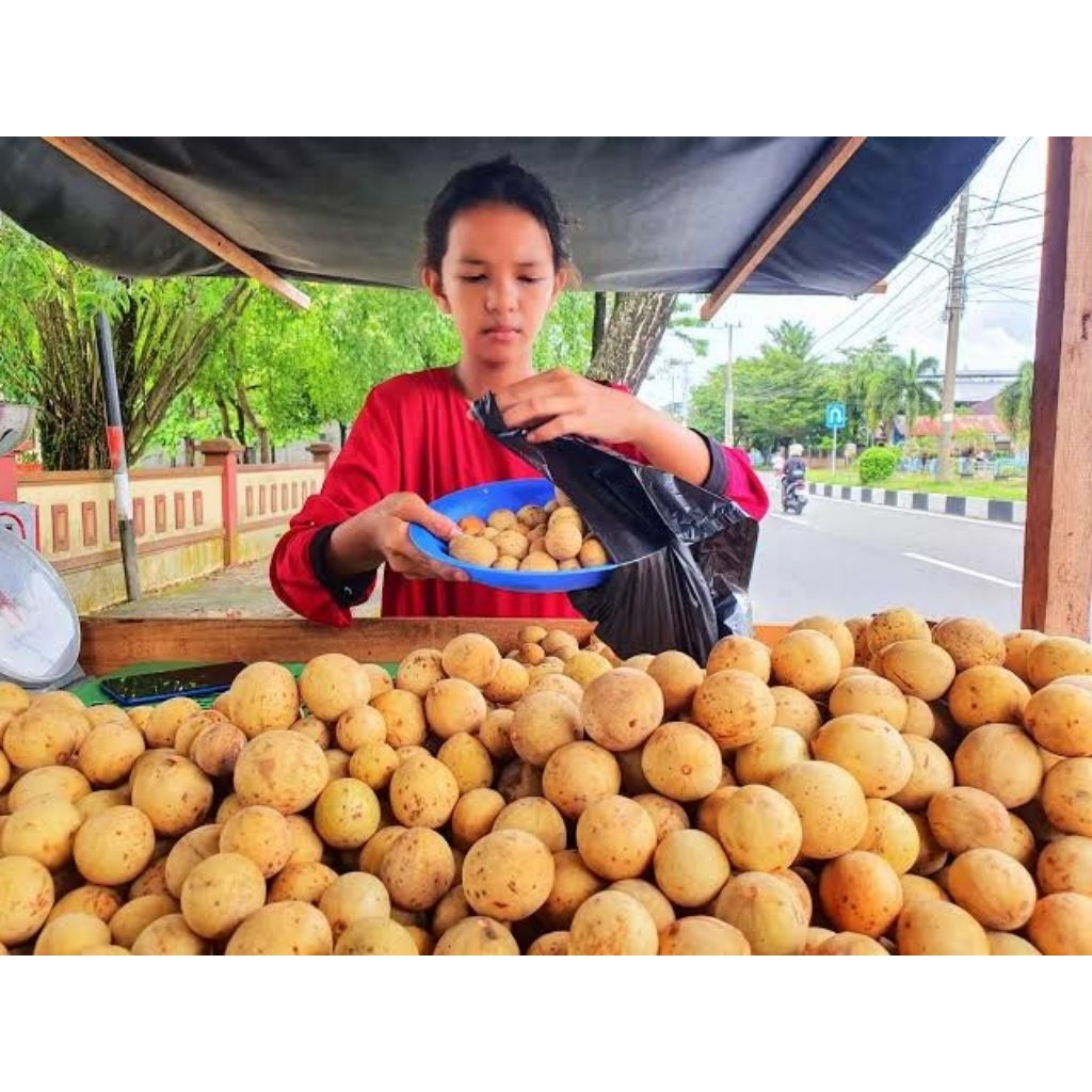 Buah Duku manis/Buah Langsat Pontianak manis/ buah duku Pontianak manis/ langsat manis Pontianak 1kg