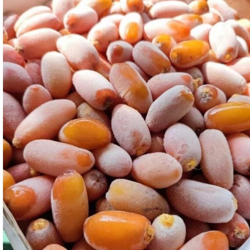 Kurma Muda Ruthob Libya 500gr | Ruthab Libya Selected dates | Ruthob Firdaus 500gr