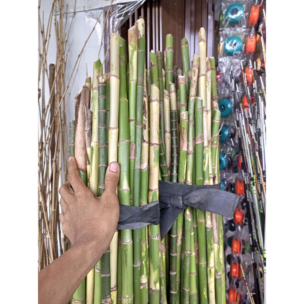 BAHAN WAREGU BAHAN JORAN PANCING 150 -160.CM