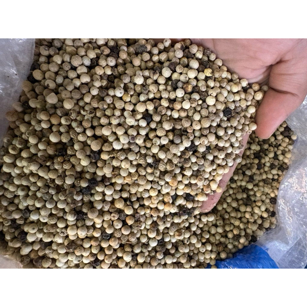 lada putih / Lada bulat / Lada putih butir / Merica bulat / Merica butir isi 100gr