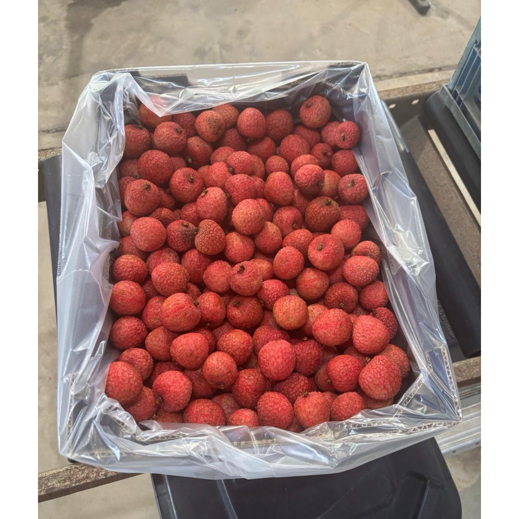 Buah Leci Manis Fresh / Buah Lychhe Australia Segar 500gram