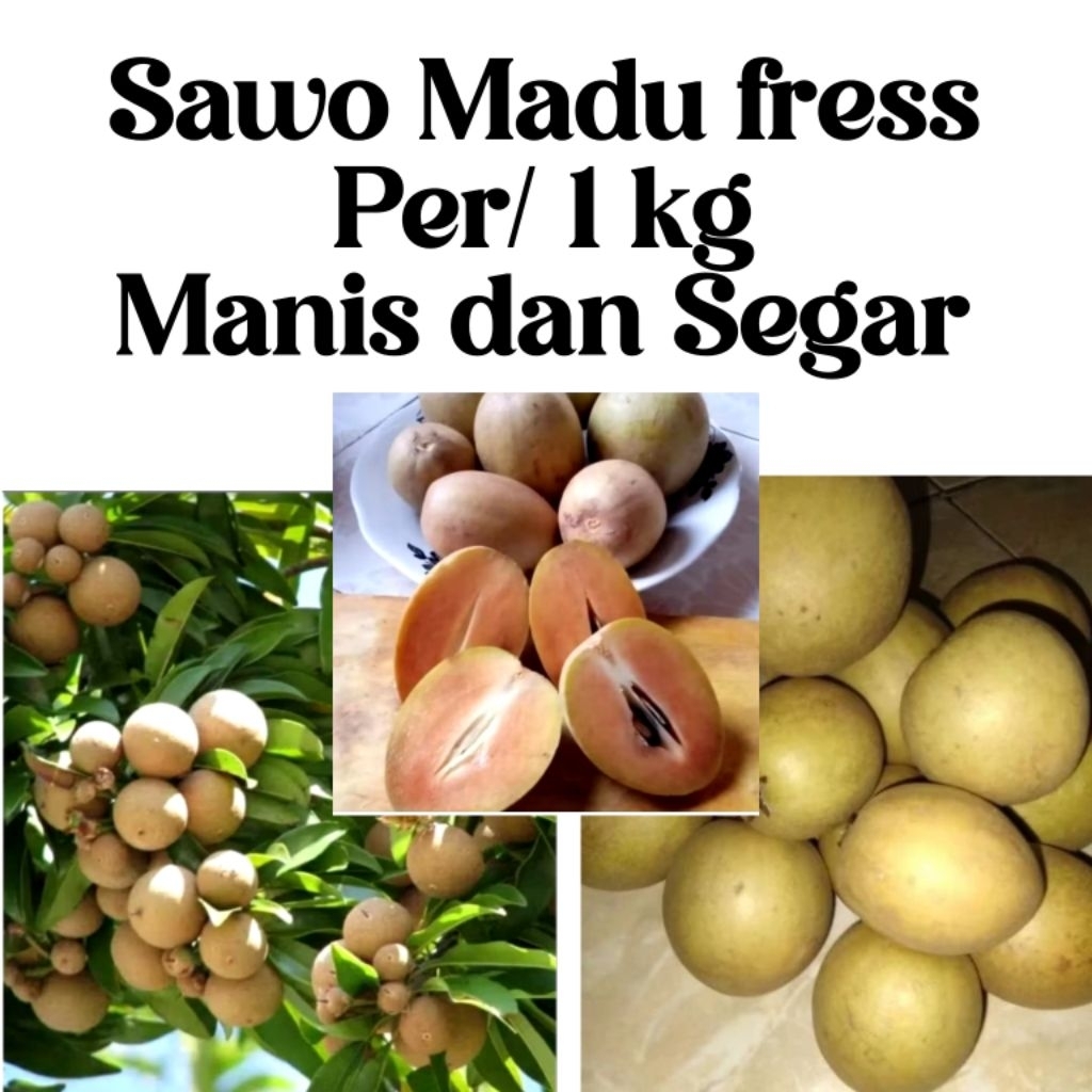 Sawo Madu fress 1 kg/Buah sawo