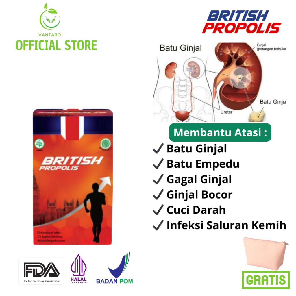British Propolis Original Suplemen Herbal Penghancur Batu Ginjal Empedu