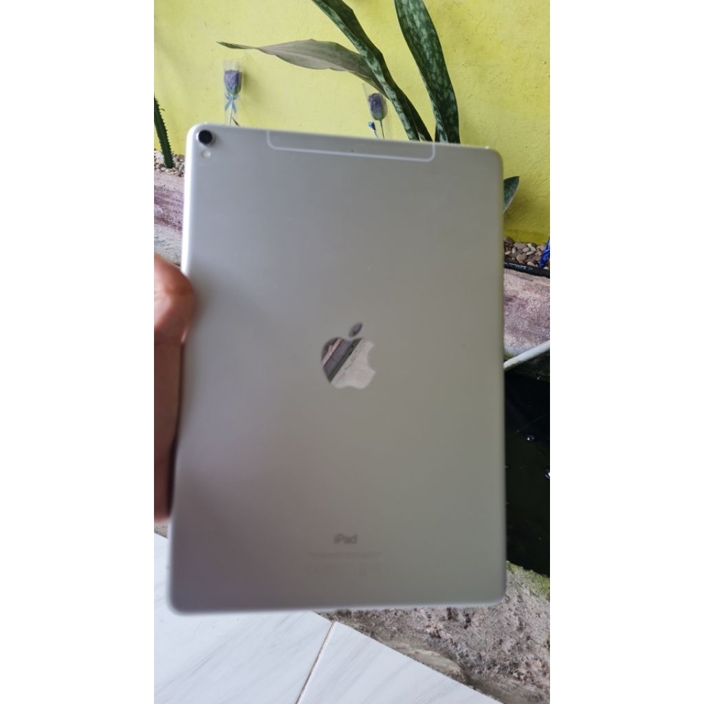 ipad pro 256gb
