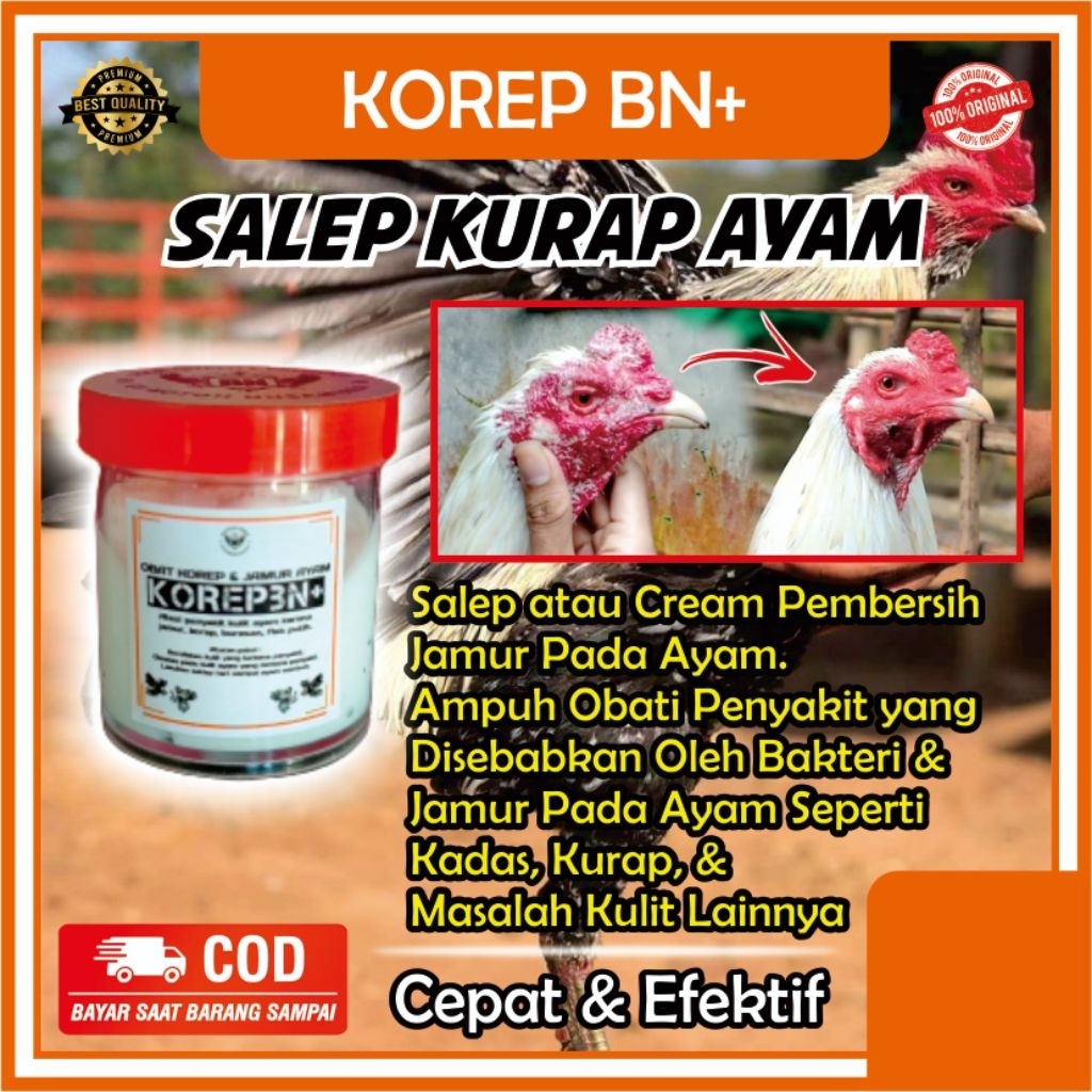 Salep mengobati Ayam Korep Salep KOREPBN+ Mengobati ayam Korep atau kurapan ampuh