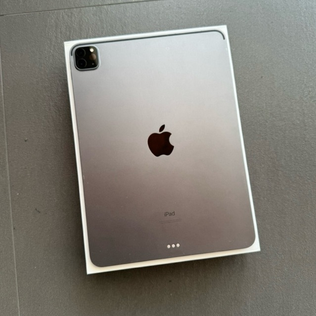 iPad Pro M1 256Gb Wifi Only Mulus