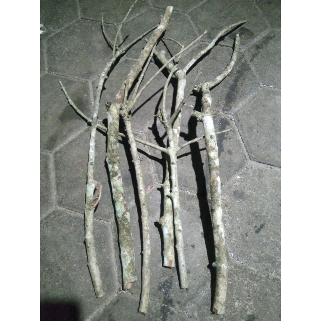 Ranting Kayu Kering Macrame. Macrame Ranting Kayu Pohon serut kering. Ranting Kayu Bahan Dekorasi. R