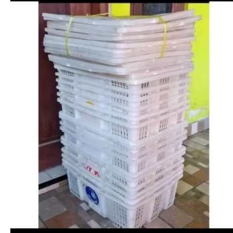 #Kranjang Buah #15 Doc Ayam Elba Petelur Doc Ayam Kampung Elbaaw