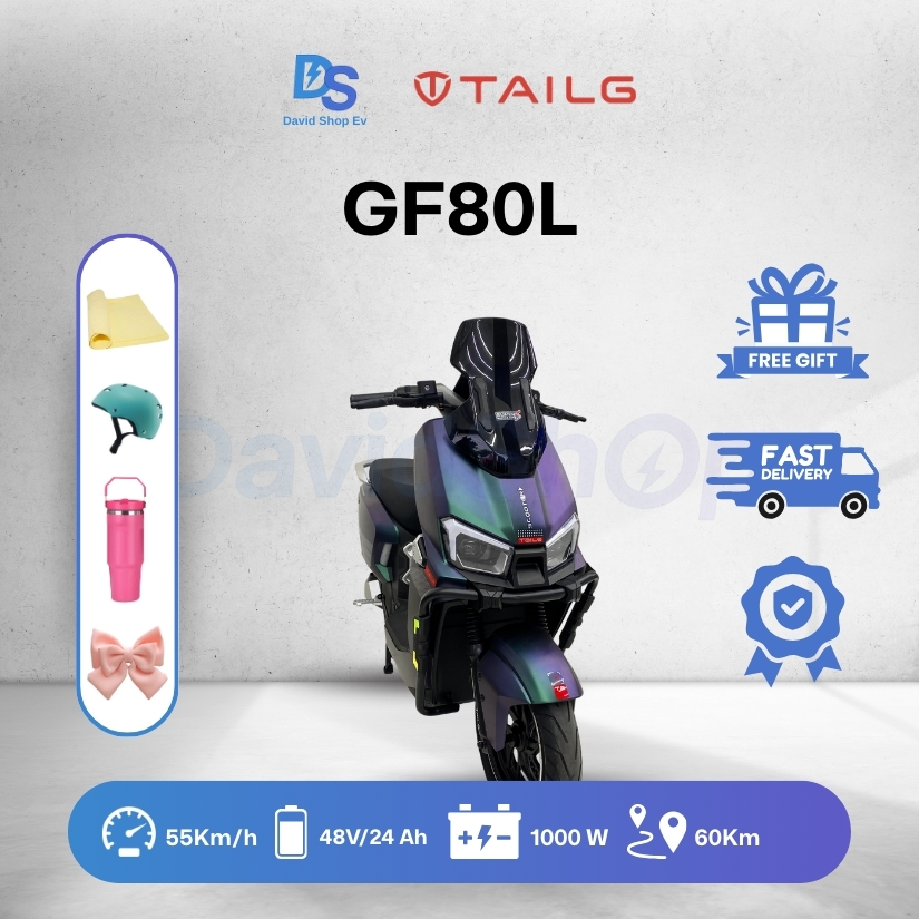 Sepeda Listrik Tailg GF 80L Pro 1000W 55km/jam