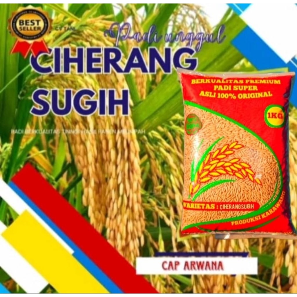 BENIH PADI UNGGUL CISUGIH CIHERANG SUGIH 10KG