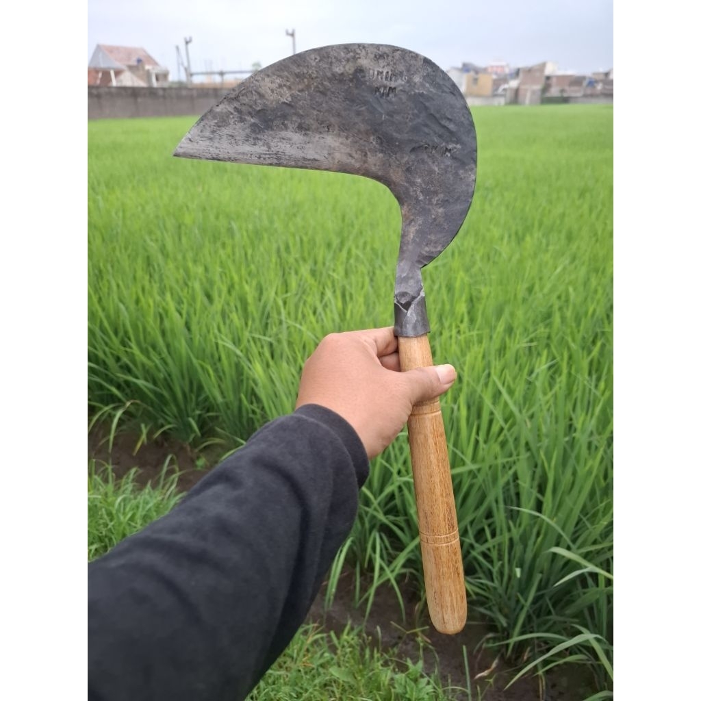 Arit Rumput Padi Super Tajam Cap Bonnin Asli original 100% [ BELUM ASAH ]