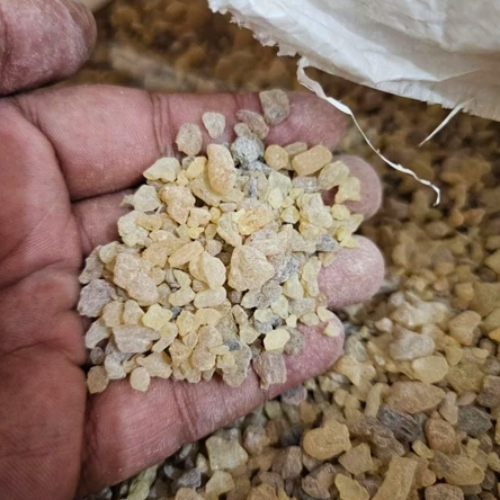 Kemenyan Menyan Arab Luban 50 GRAM Luban Gum Arab Frankincense Olibanum