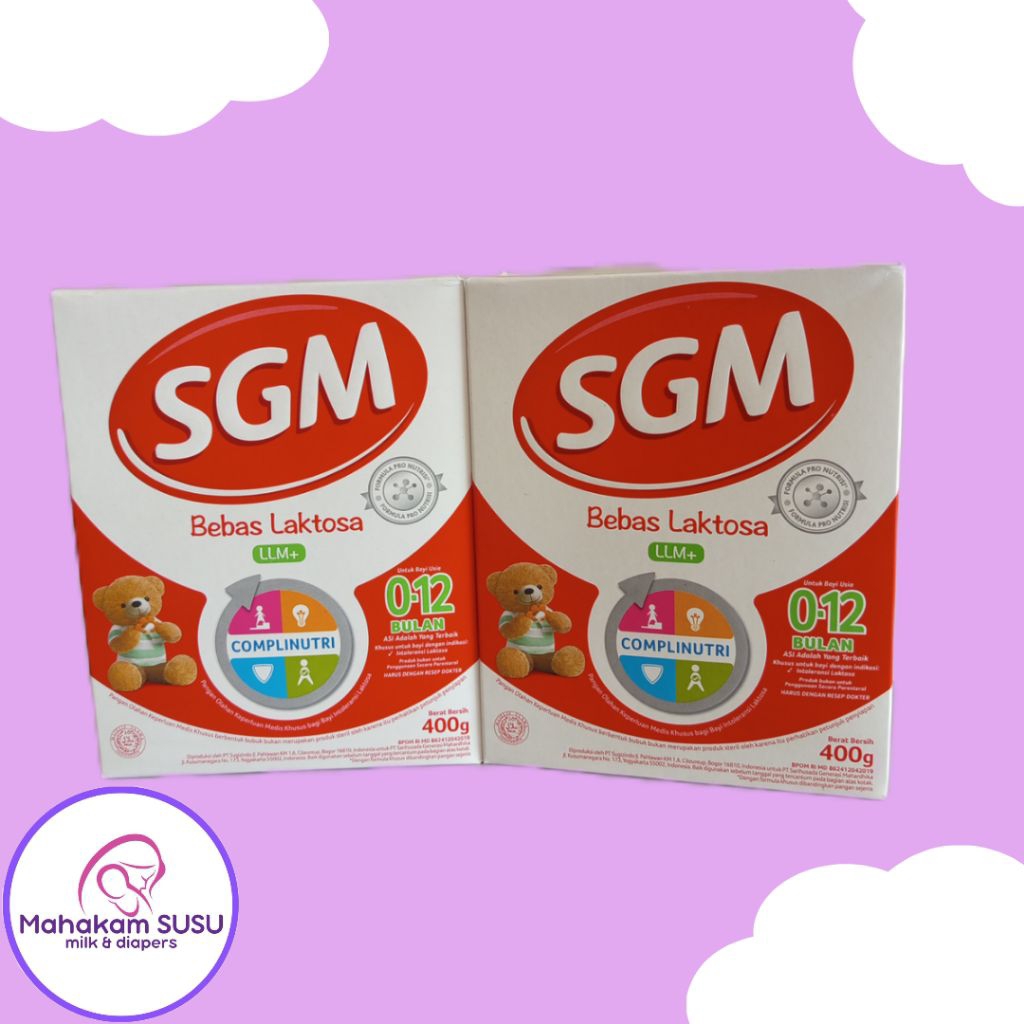 SGM LLM