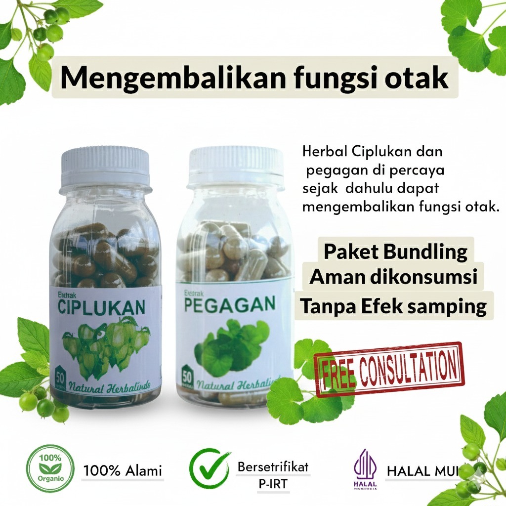 obat insomnia nutrisi syaraf herbal pegagan stroke penyumbatan ciplukan kapsul