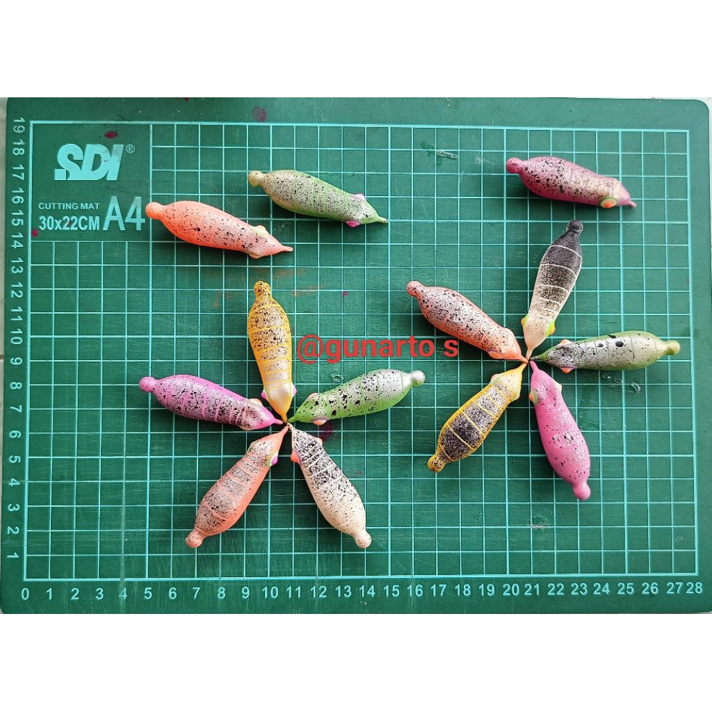 cangkang soft frog geol ramping 5cm