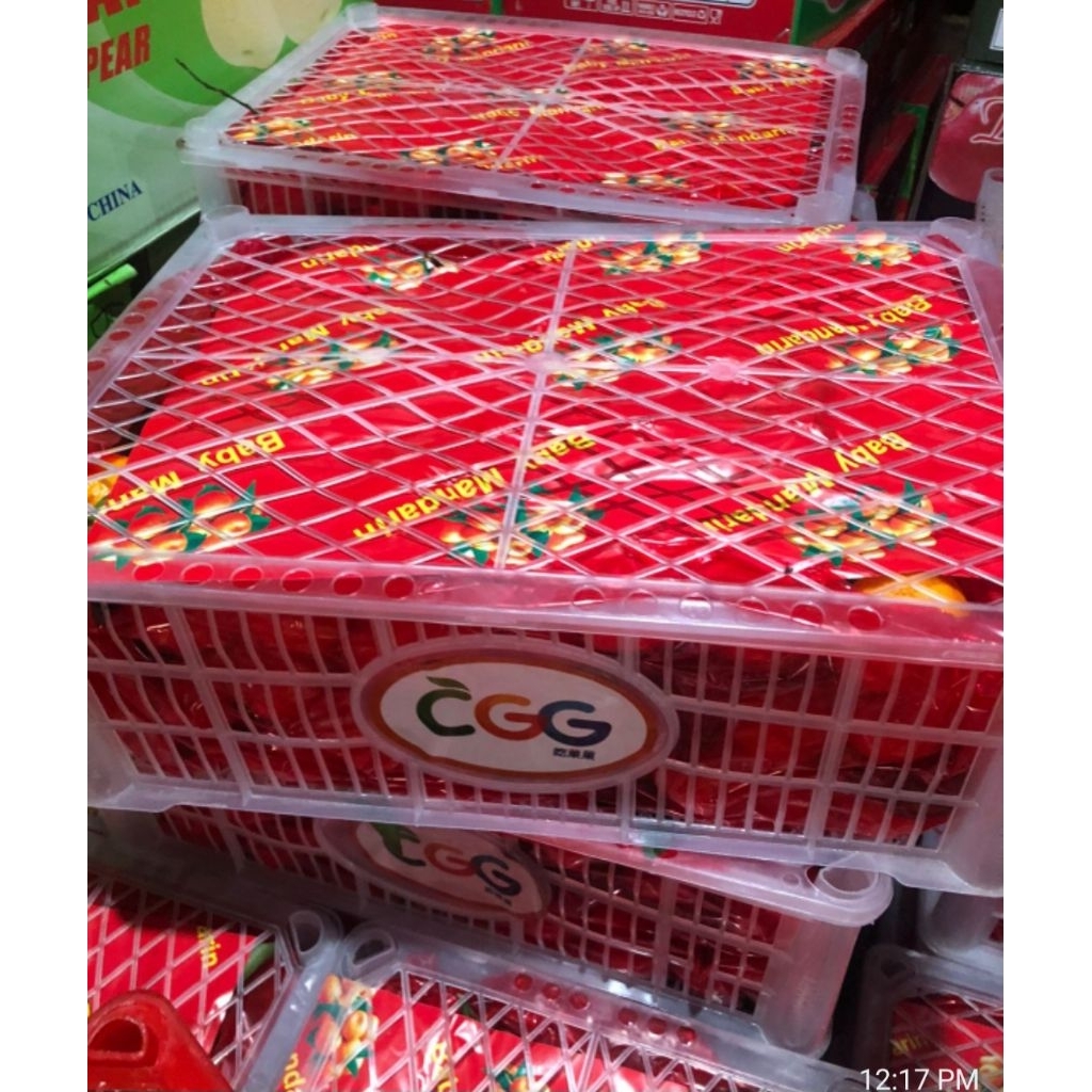 Jeruk Santang daun 1 keranjang 5,5 kg