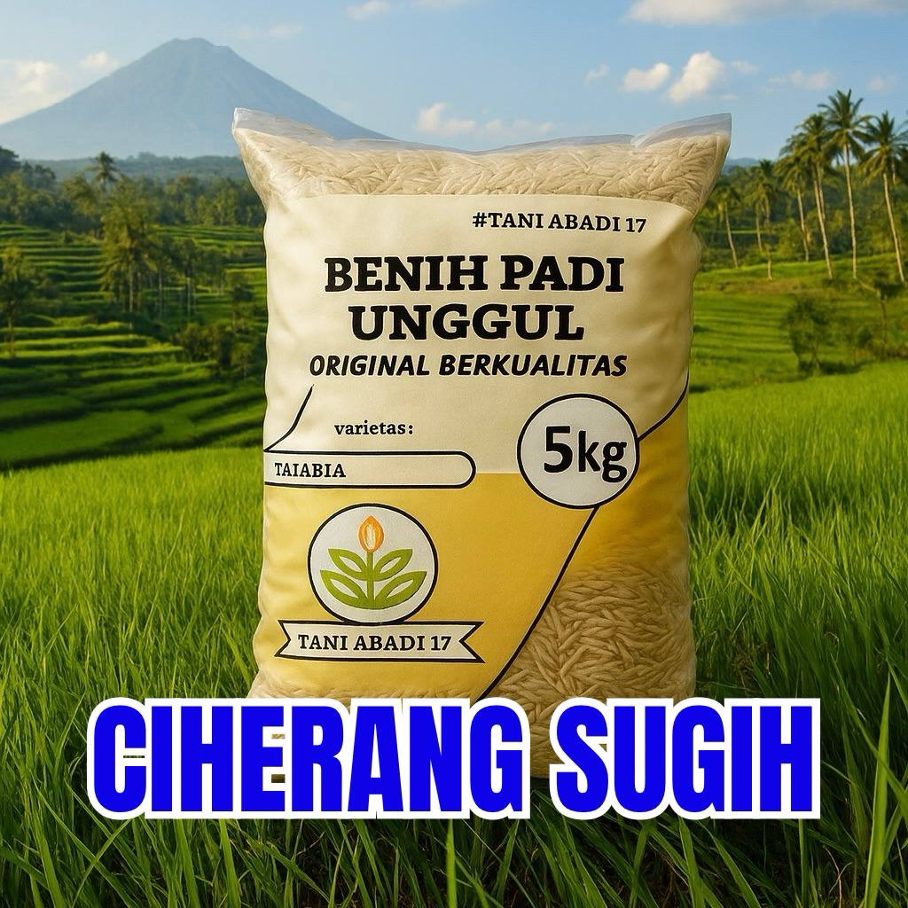 Benih padi CIHERANG SUGIH original unggul kemasan 5kg