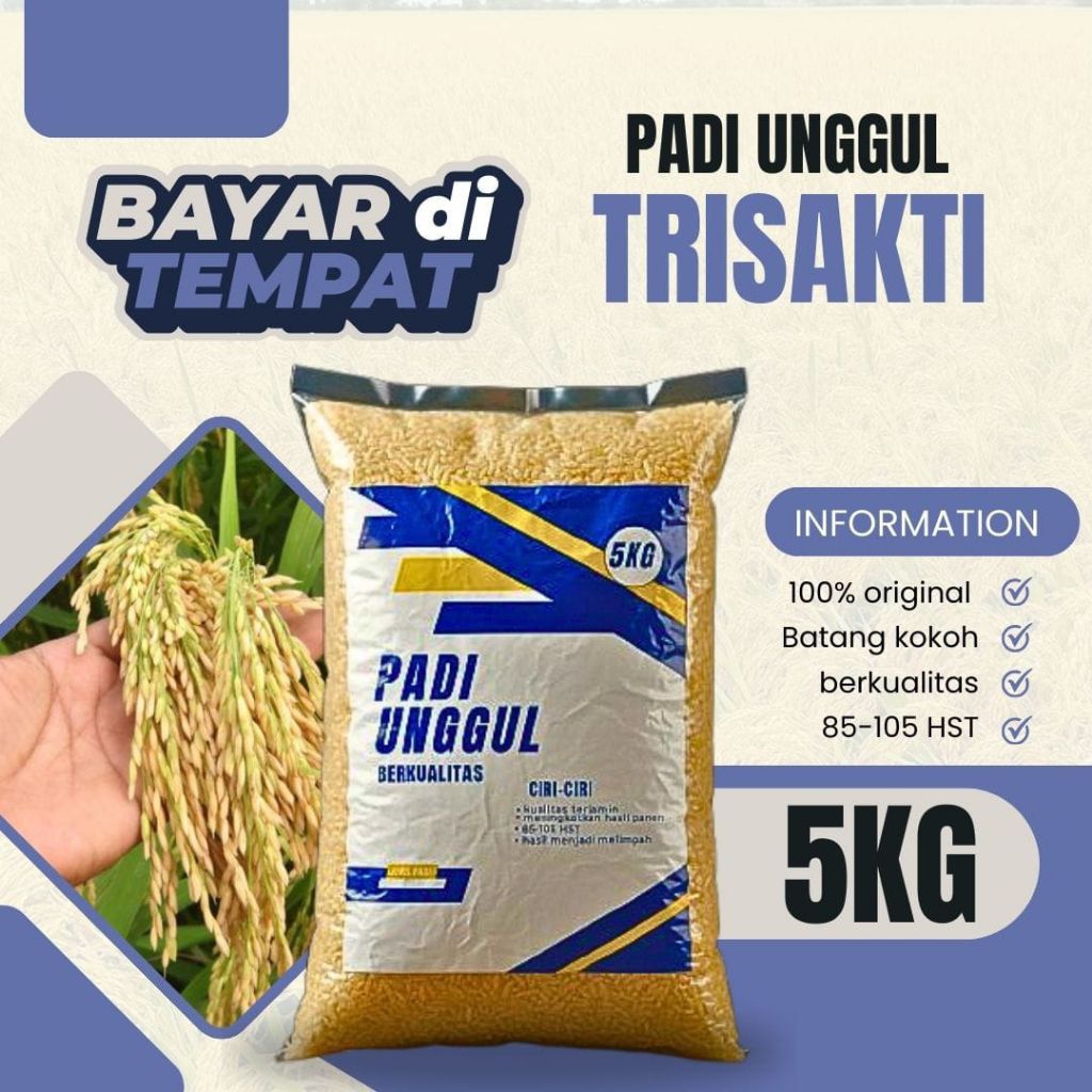 BENIH PADI TRISAKTI 5KG
