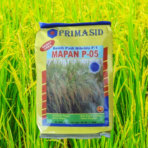 Benih Bibit Padi Mapan P05 Hibrida F1 1KG Pulen Asli Kemasan Pabrik