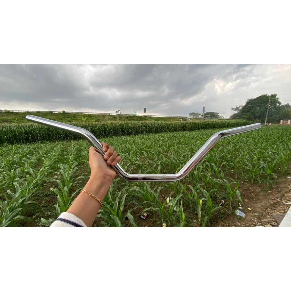 Raiser Stang / Raiser Custom / Raiser Chopper Bobber / Dogbone