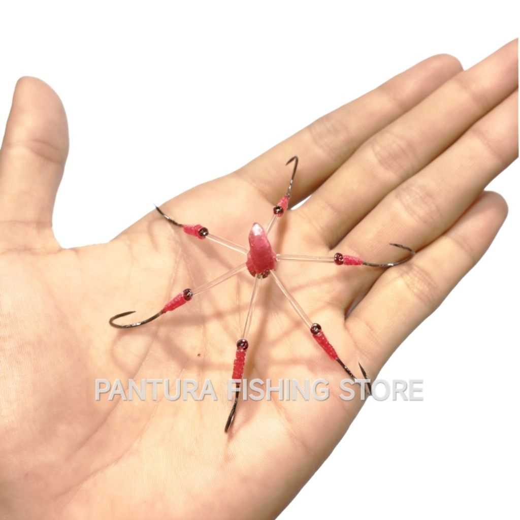 Kail Garong Baronang Kembang 6 Mata