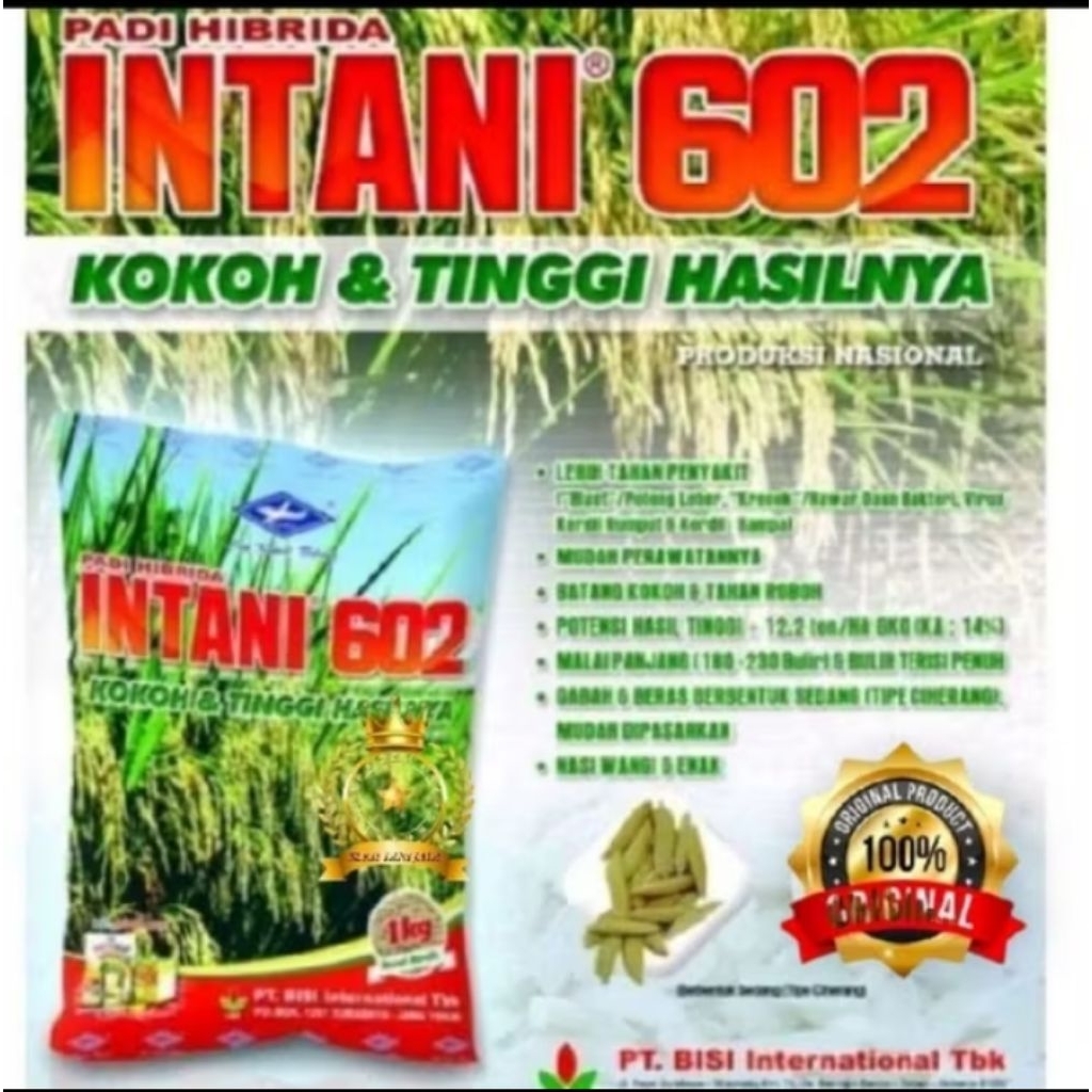 BENIH PADI HIBRIDA INTANI 602 ORIGINAL KEMASAN 5KG