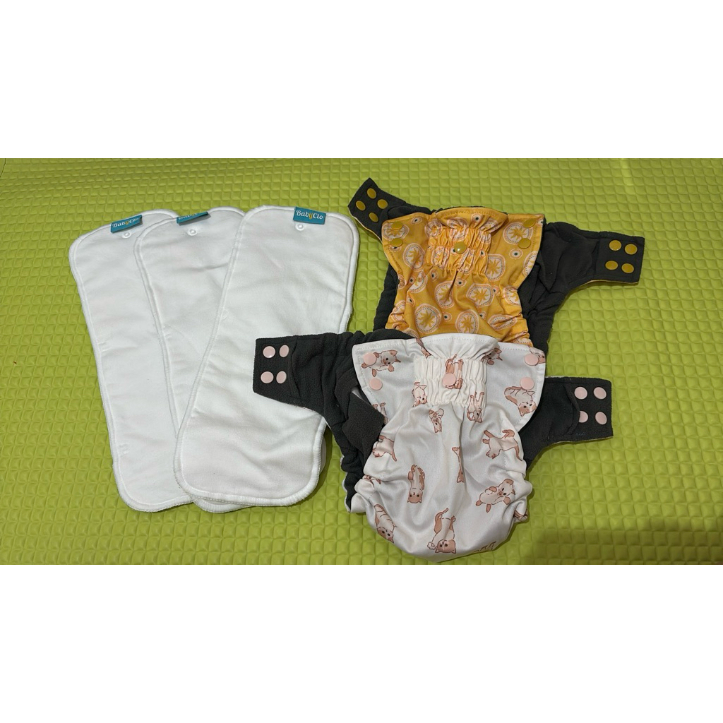 babyClo cloth diapers clodi