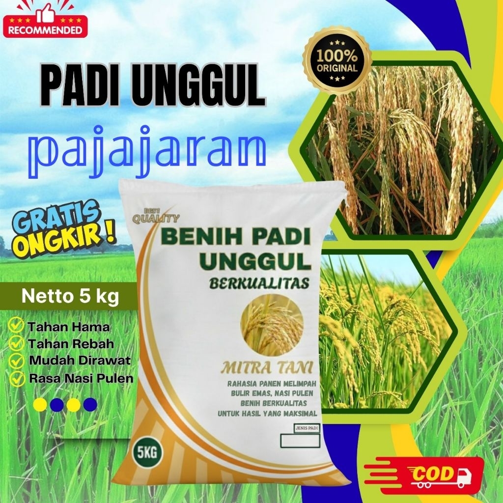 bibit padi pajajaran kemasan 5kg