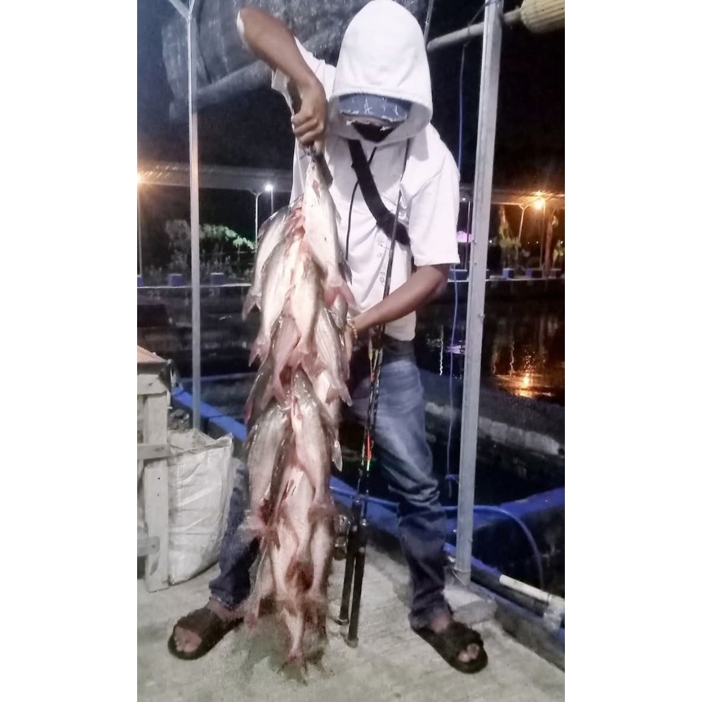 essen p2m spesial ikan patin