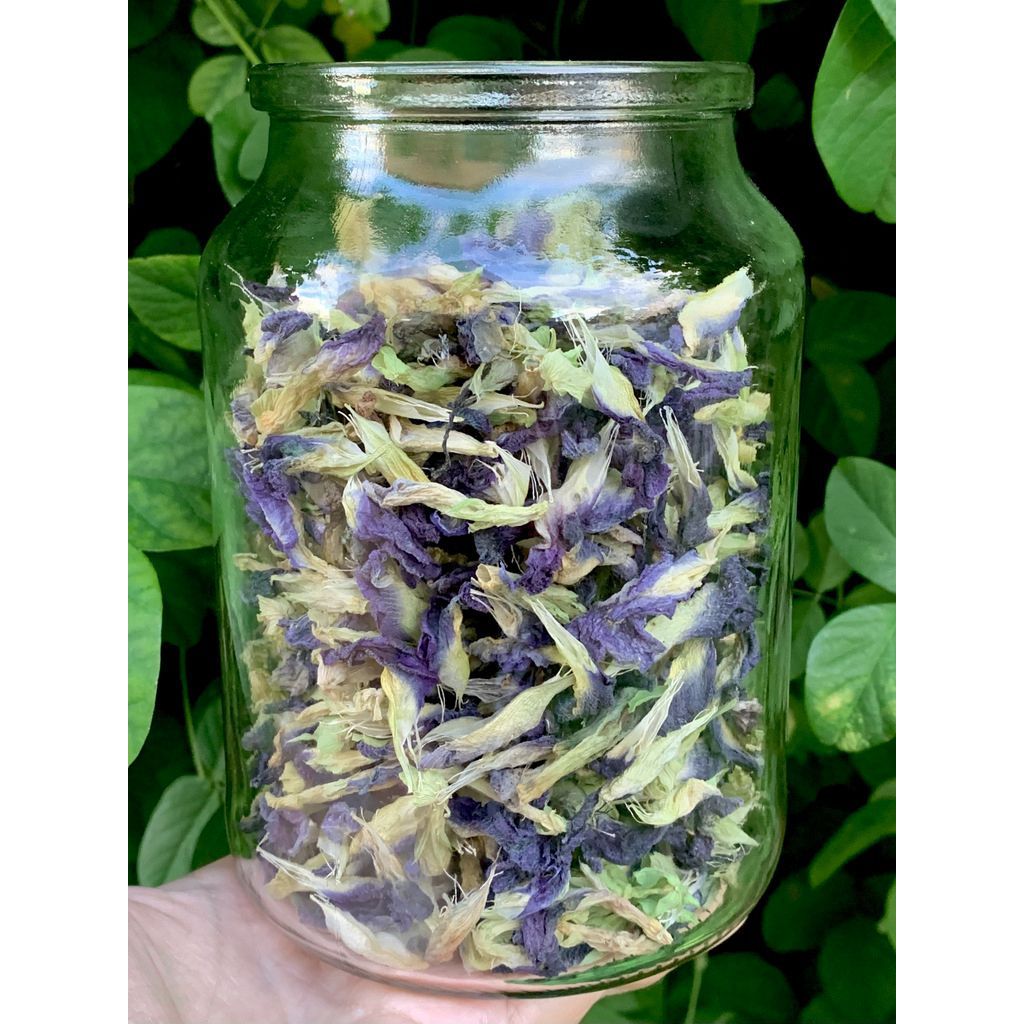 Bunga Telang Kering 500gr Kaya Manfaat