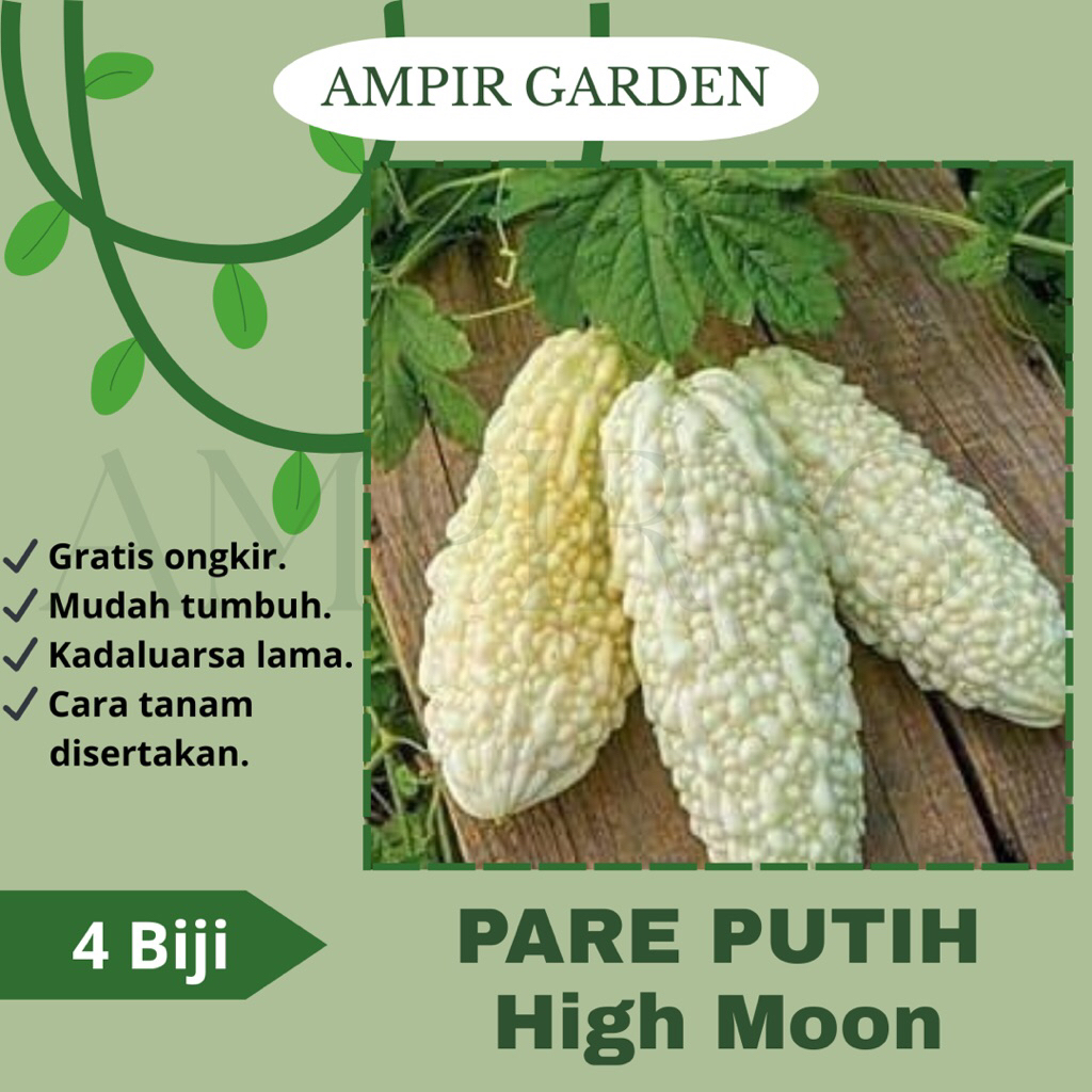 2 Biji Benih Pare Putih HIGH MOON / Bibit Tanaman Sayuran Pare Paria Putih Unik / Pare Lalap