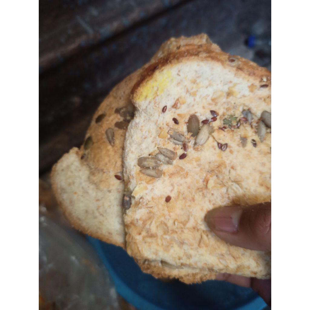 roti gandum pakan ternak