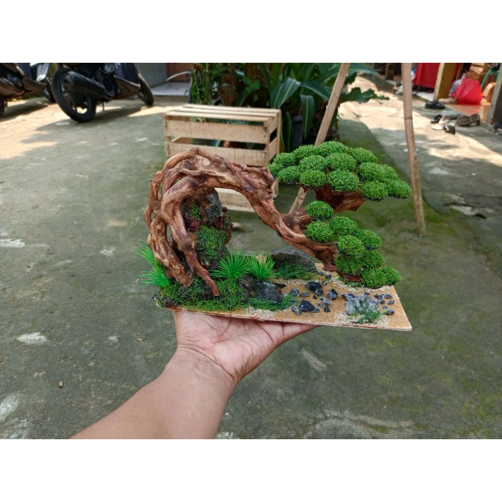 Bonsai aquascape kayu raksamala