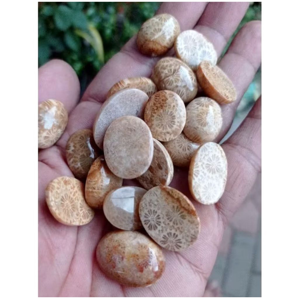 Batu Akik Motif Bunga Teratai Natural