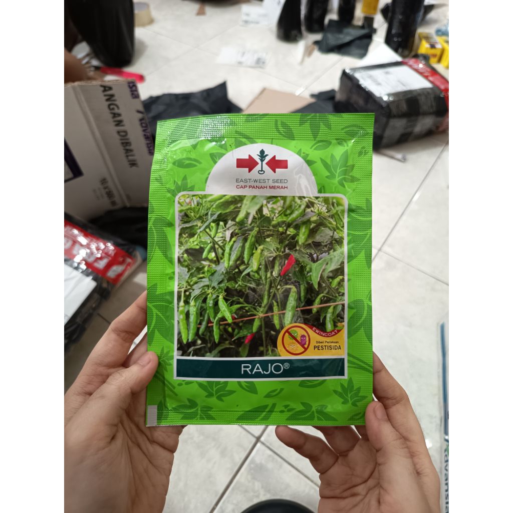BENIH CABAI RAWIT RAJO PANAH MERAH