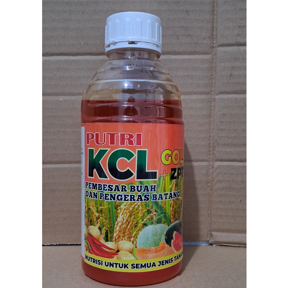 KCL Gold + ZPT PUTRI 1000ML