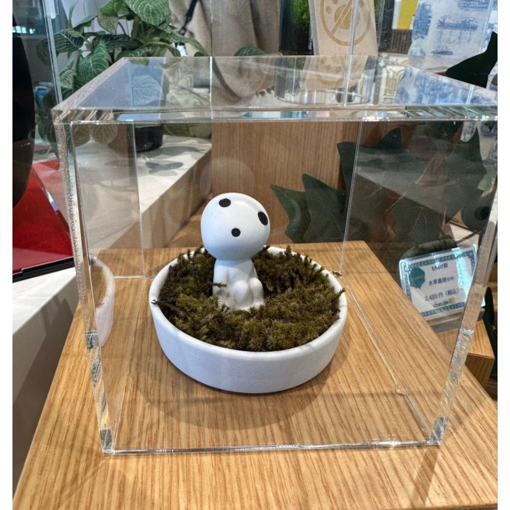 GHIBLI PARK SET PLANT KODAMA