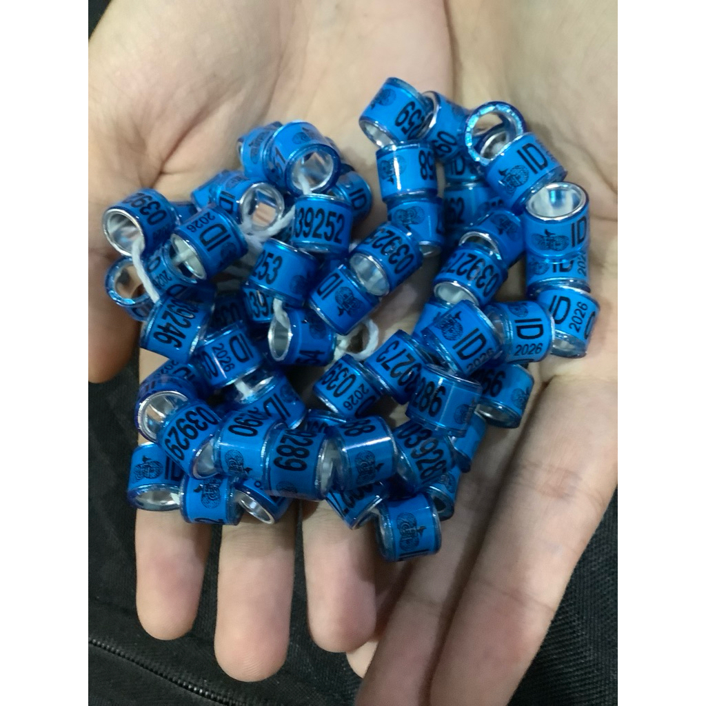 RING MERPATI POS POMSI 2026 FCI