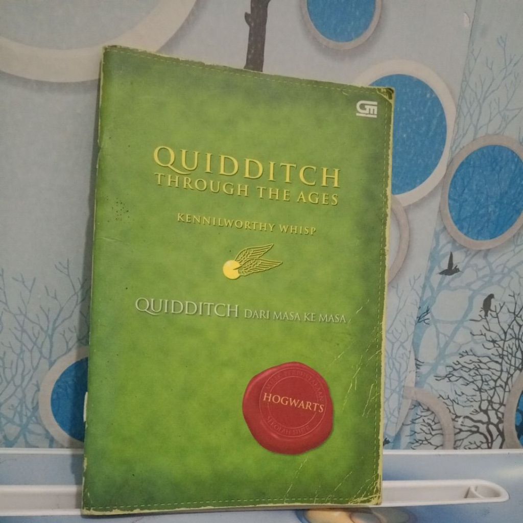 QUIDDITCH THROUGH THE AGES