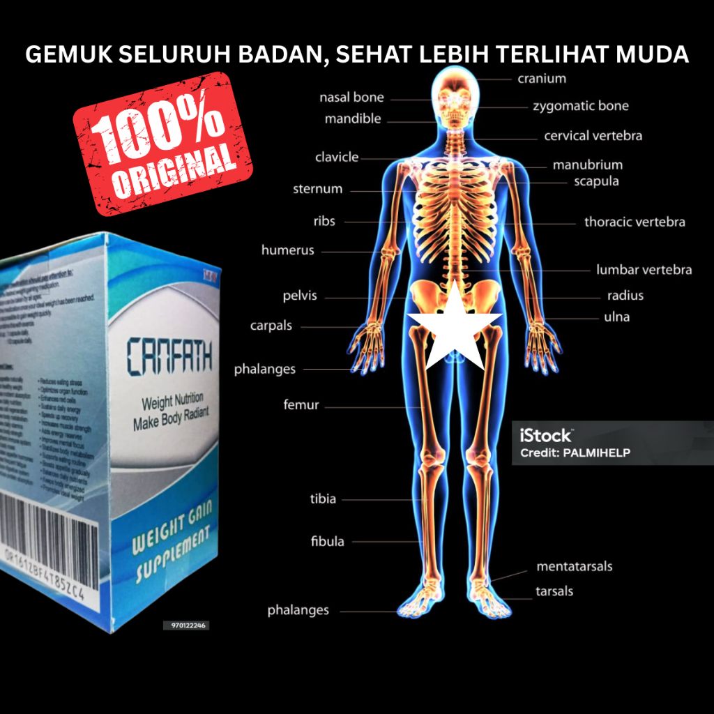 PENGGEMUK BADAN SUPER CEPAT CANFATH ORIGINAL CANADA