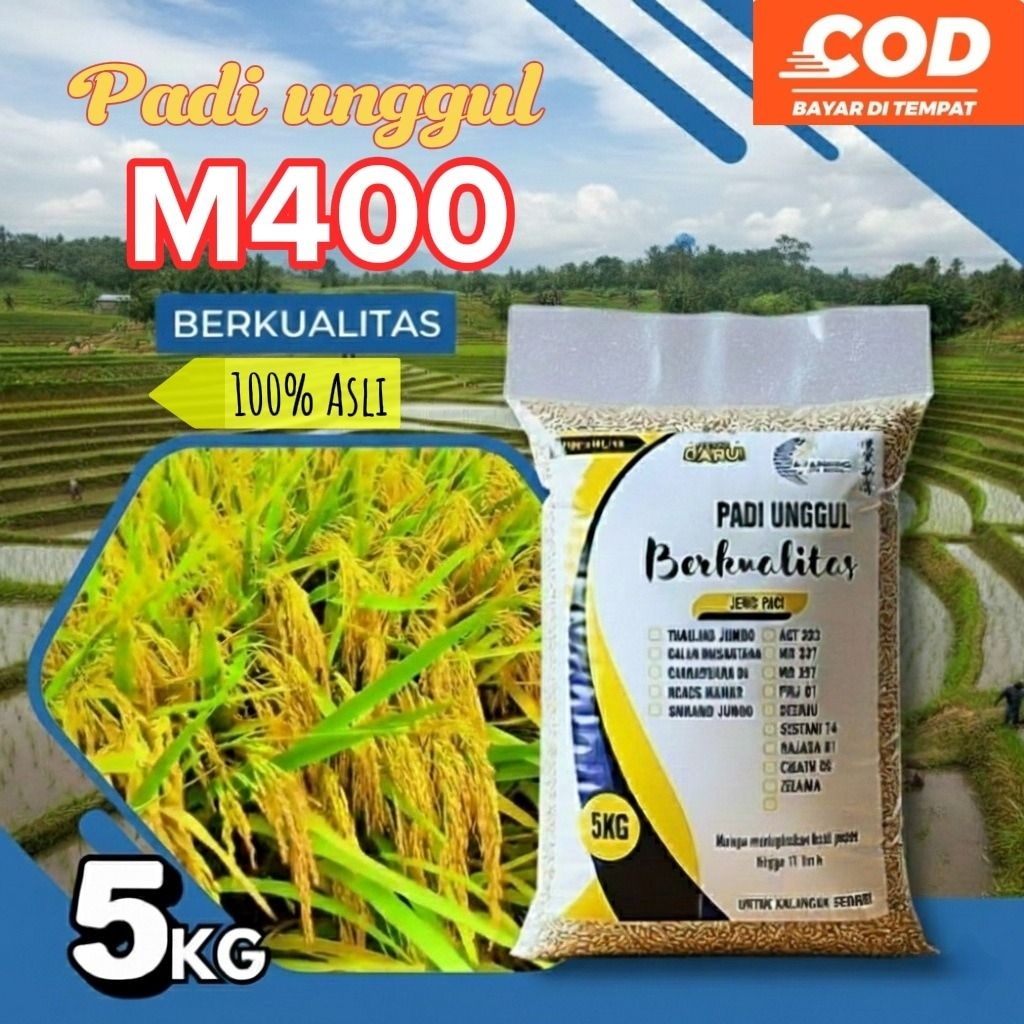 Benih padi unggul M400 Kualitas premium kemasan 5Kg