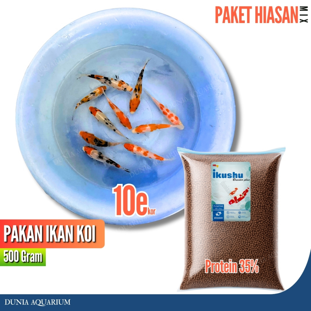Pakan Ikan Koi 500gr dan Hiasan Aquarium / Kolam Koi Kohaku Sanke Mix - Ikan Koi Kohaku Sanke