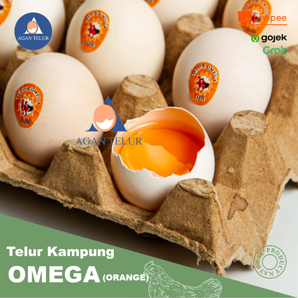 Telur Ayam Kampung Arab Omega 3 Berkualitas tinggi ukuran kecil per butir