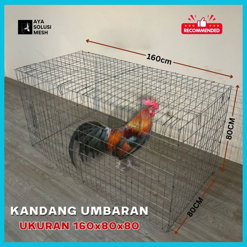 Kandang Umbaran Galvanis Ukuran 160 x 80 x 80 | Anti Karat Bisa Dilipat | Kandang Ayam Bangkok Kanda