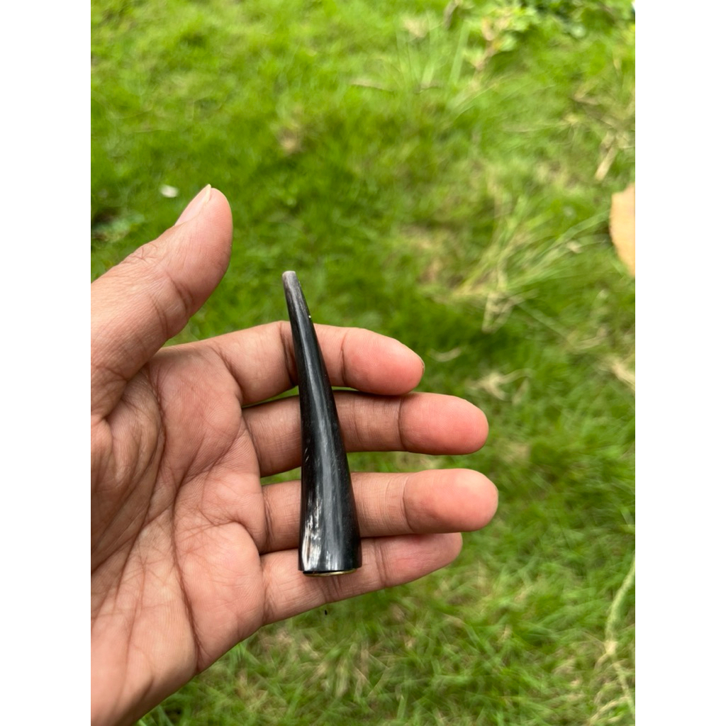 piparokok tulang sapi hitam kualitas terjamin