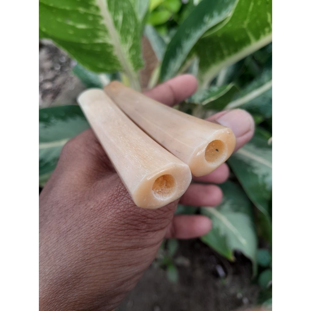 once pipo tulang sapi super model segi delapan