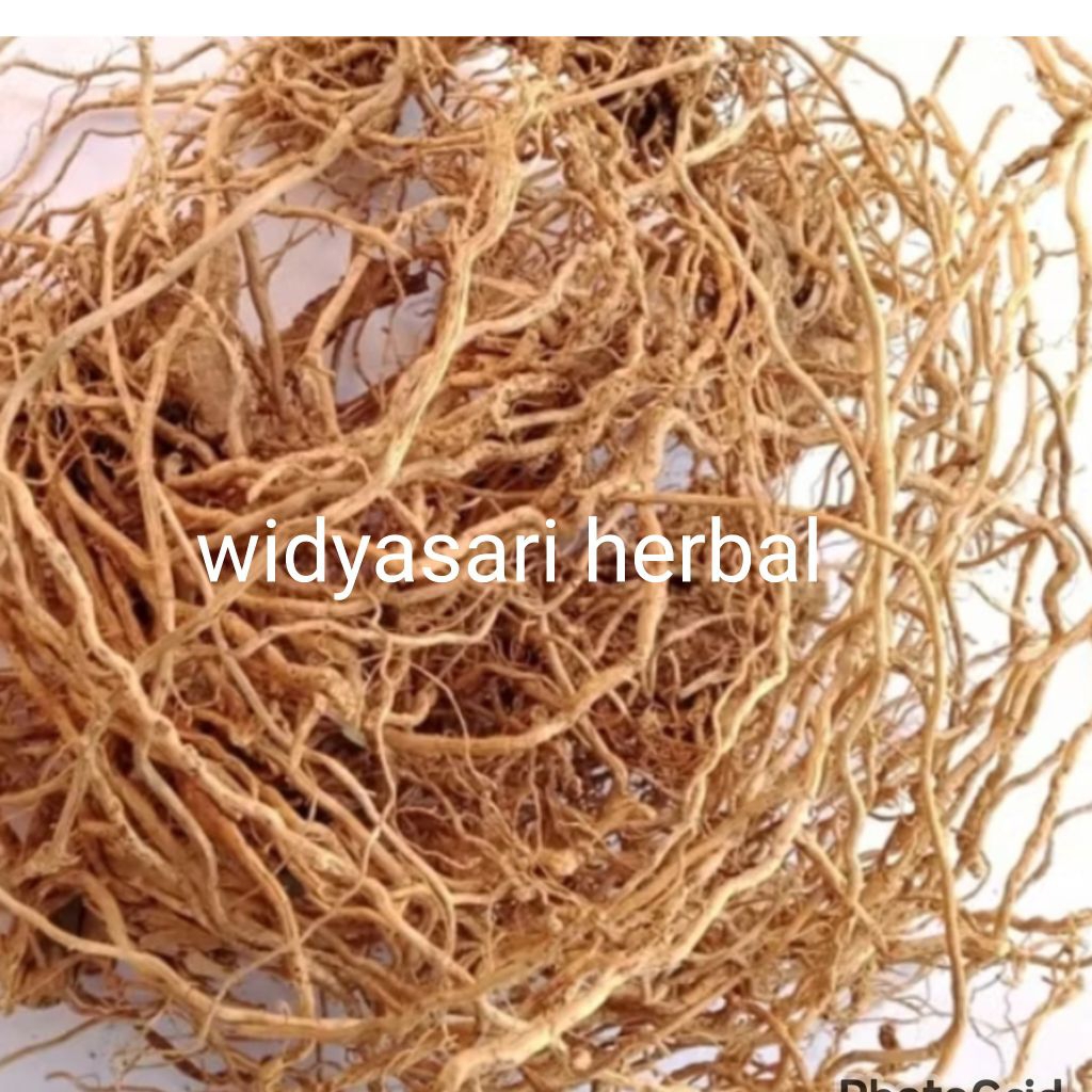 akar wangi kering 1 kg