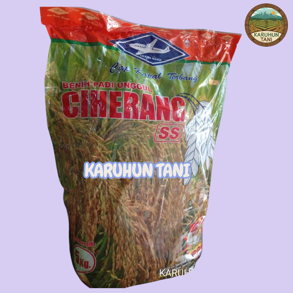 Benih Padi Unggul Ciherang SS 5 Kg
