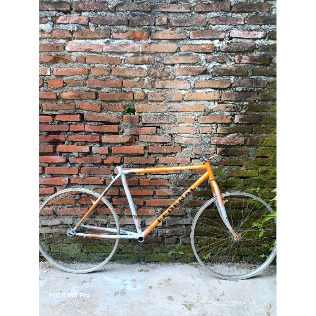 Frame federal CITY CAT size 20