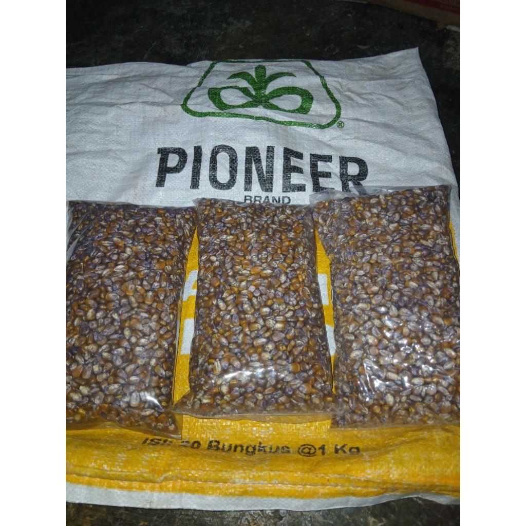 benih JAGUNG PIONER P89 POLOSAN 1KG